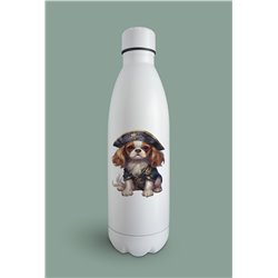Insulated Bottle  - kc 38