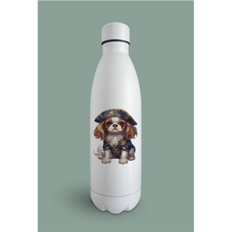 Insulated Bottle  - kc 38
