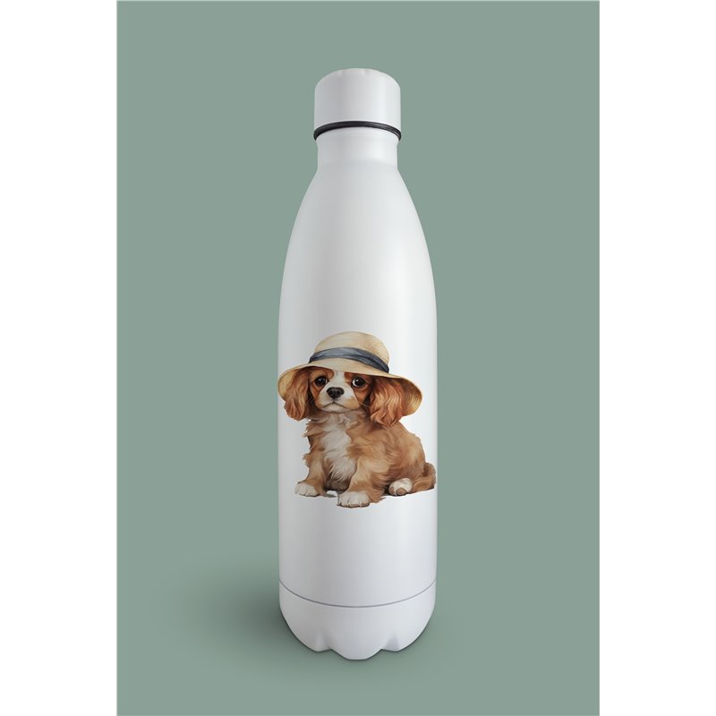 Insulated Bottle  - kc 39