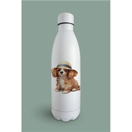 Insulated Bottle  - kc 39