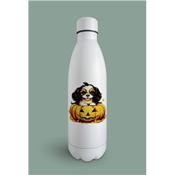 Insulated Bottle  - kc 40