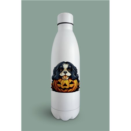 Insulated Bottle  - kc 41