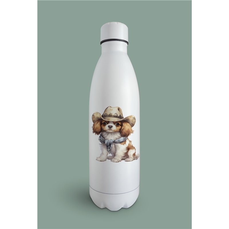 Insulated Bottle  - kc 42