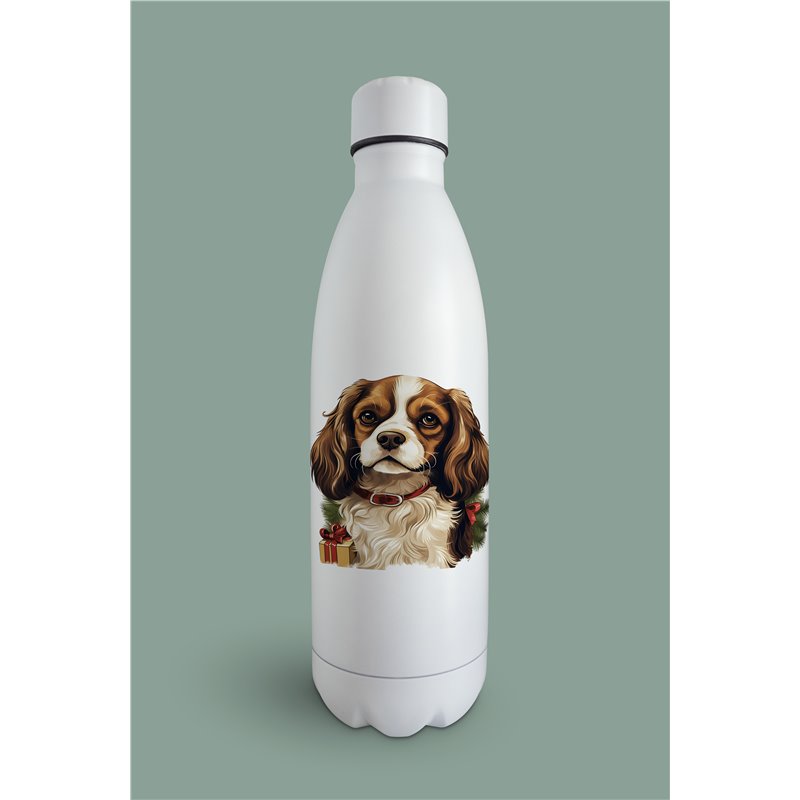 Insulated Bottle  - kc 43