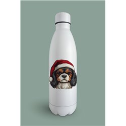 Insulated Bottle  - kc 44