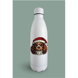 Insulated Bottle  - kc 45