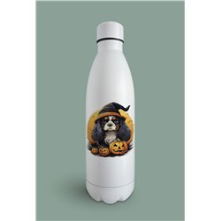 Insulated Bottle  - kc 47