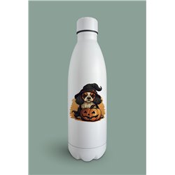 Insulated Bottle  - kc 48