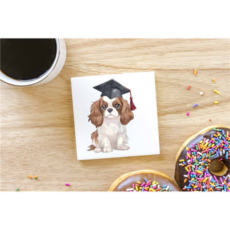 Ceramic Tile Coaster/ Trivet - kc 4