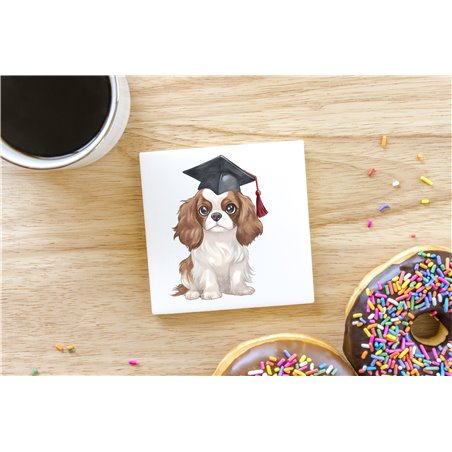 Ceramic Tile Coaster/ Trivet - kc 4