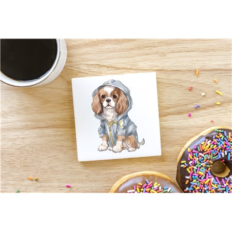 Ceramic Tile Coaster/ Trivet - kc 7