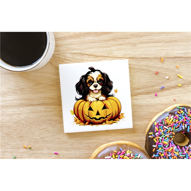 Ceramic Tile Coaster/ Trivet - kc 39