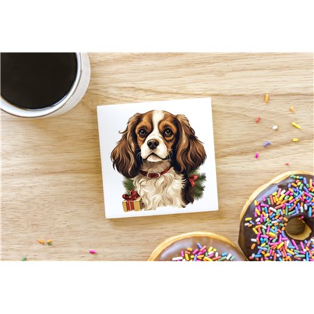 Ceramic Tile Coaster/ Trivet - kc 42