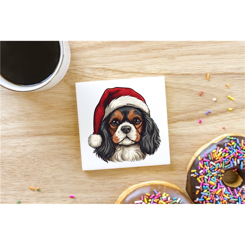 Ceramic Tile Coaster/ Trivet - kc 43