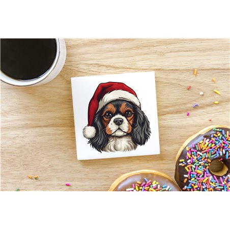 Ceramic Tile Coaster/ Trivet - kc 43