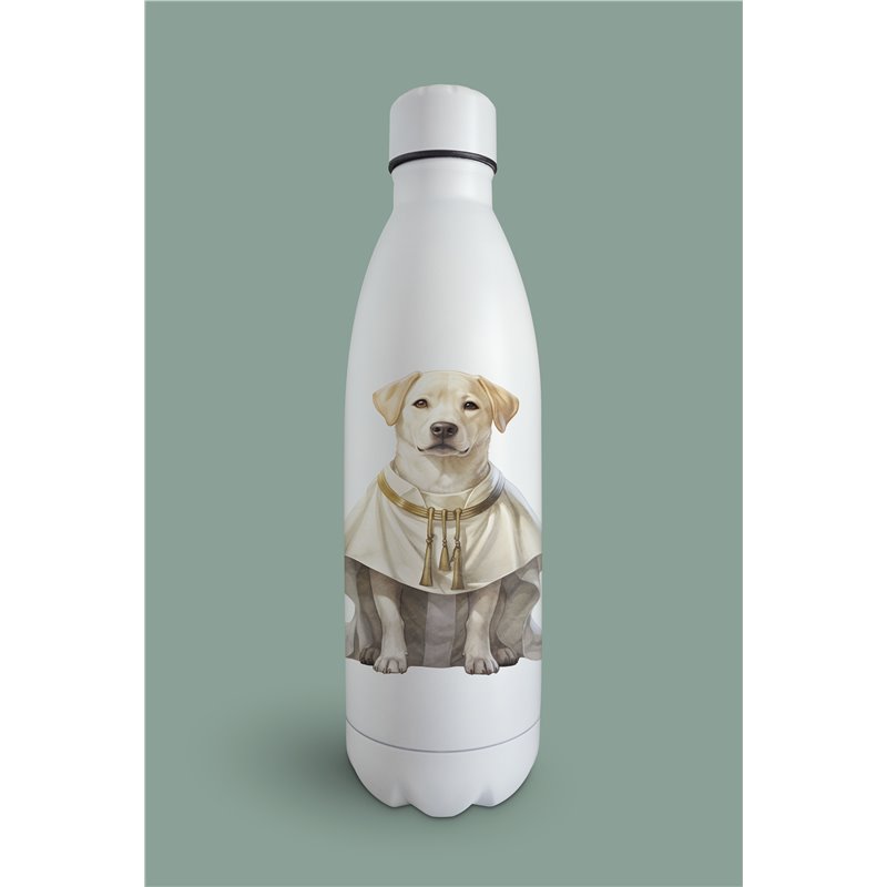 Insulated Bottle  - la 3