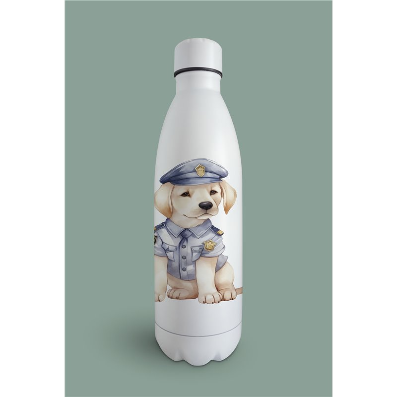 Insulated Bottle  - la 6