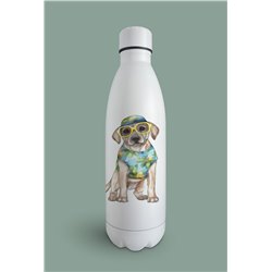 Insulated Bottle  - la 7