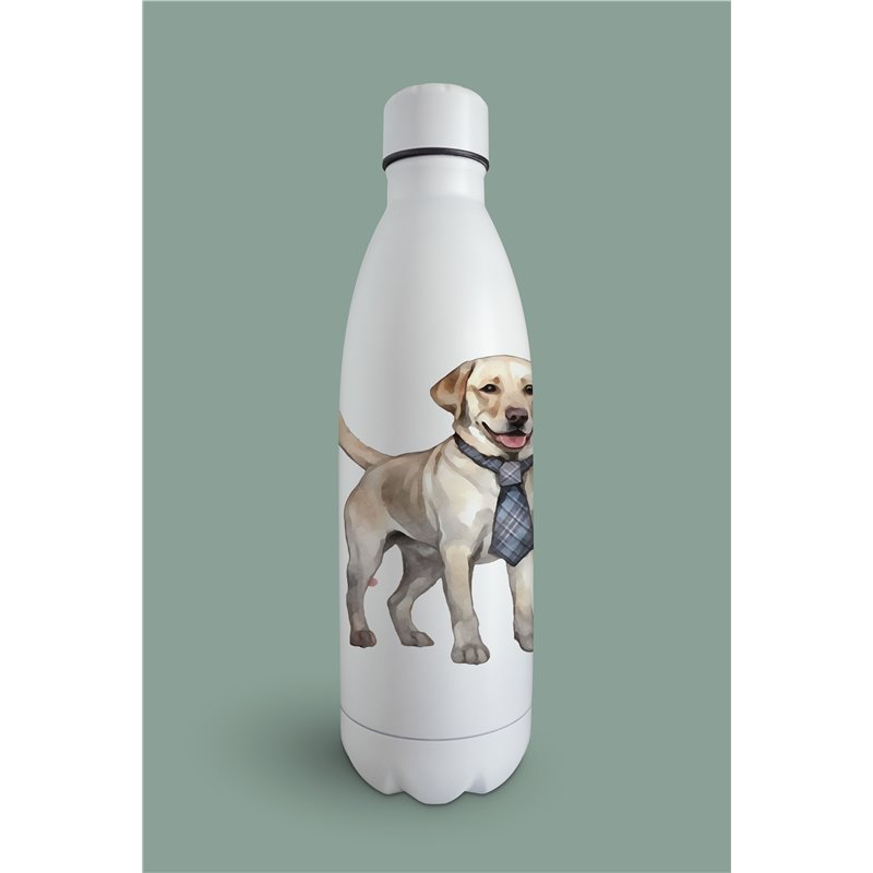 Insulated Bottle  - la 9