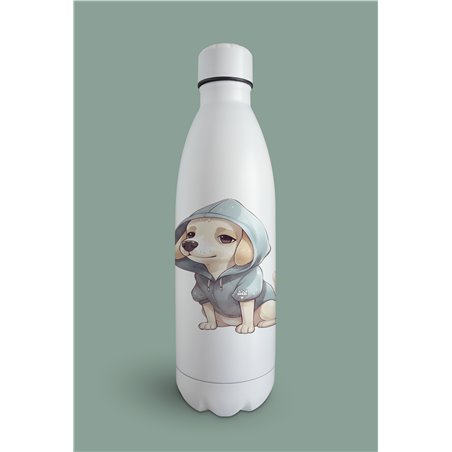 Insulated Bottle  - la 10