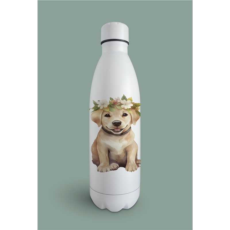 Insulated Bottle  - la 11