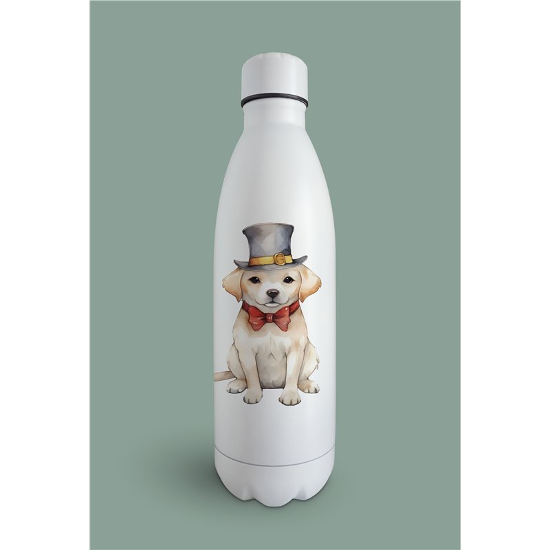 Insulated Bottle  - la 12