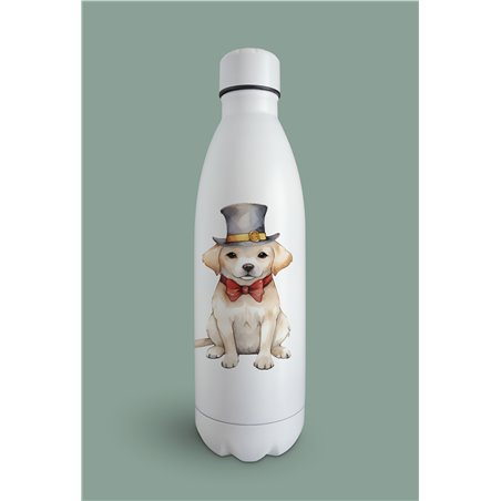 Insulated Bottle  - la 12