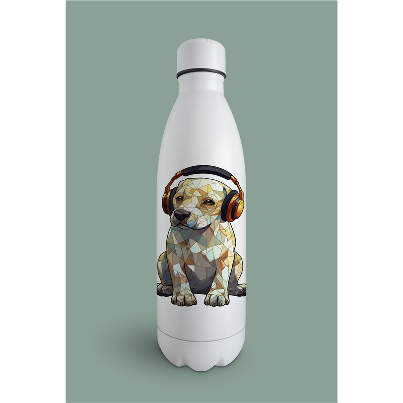 Insulated Bottle  - la 16