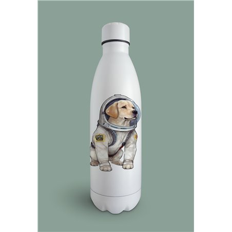 Insulated Bottle  - la 18