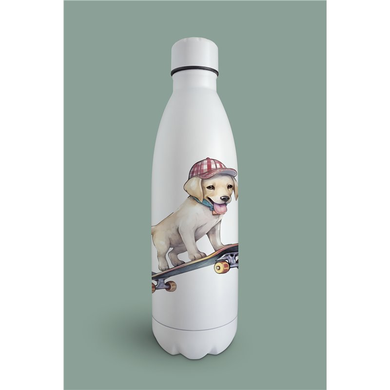 Insulated Bottle  - la 22