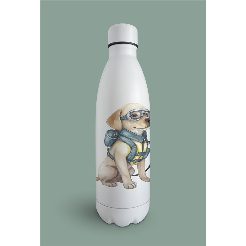 Insulated Bottle  - la 23