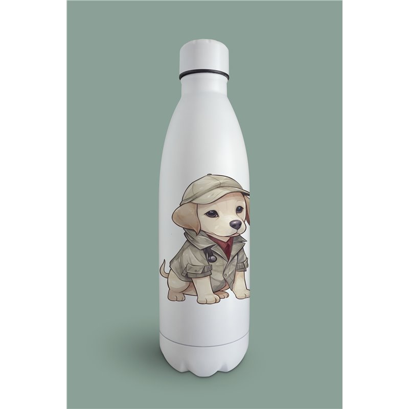 Insulated Bottle  - la 24