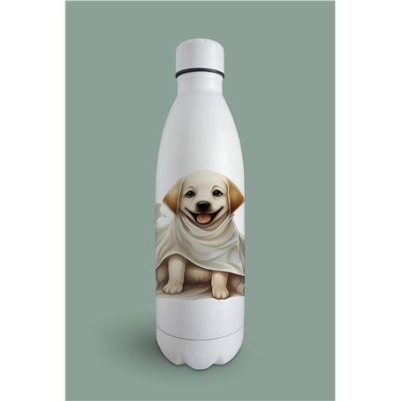 Insulated Bottle  - la 28