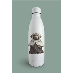 Insulated Bottle  - la 29