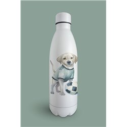 Insulated Bottle  - la 30