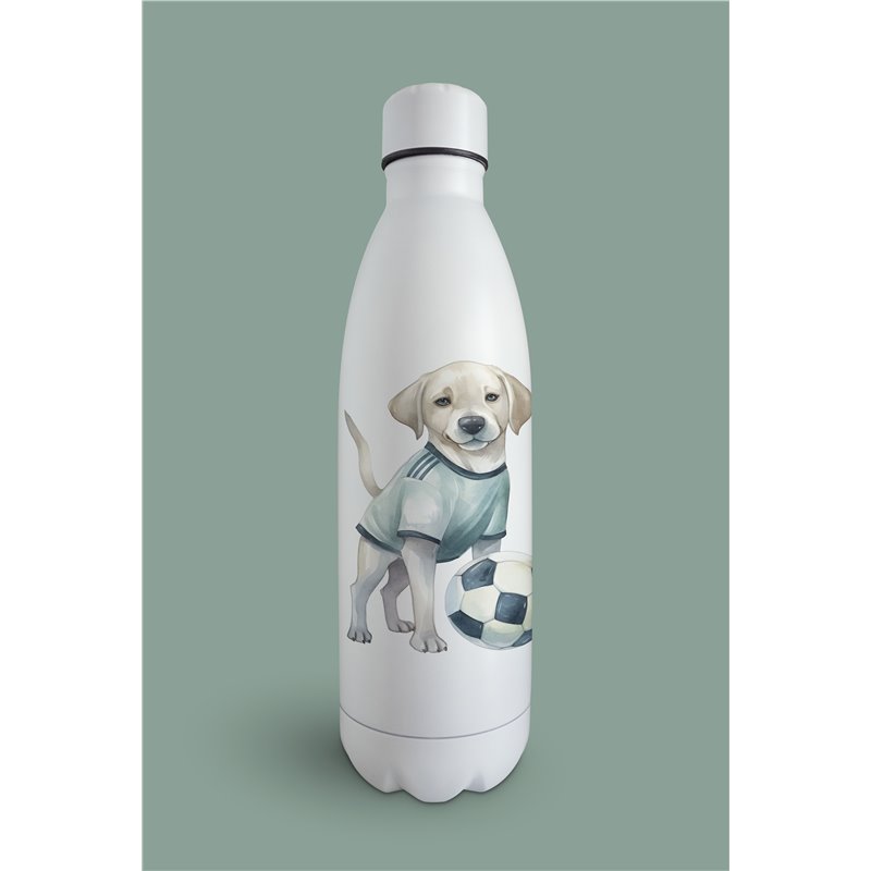 Insulated Bottle  - la 30