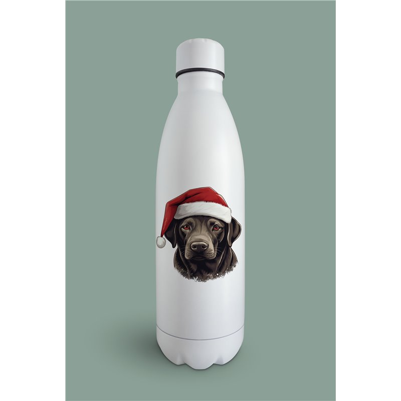 Insulated Bottle  - la 31