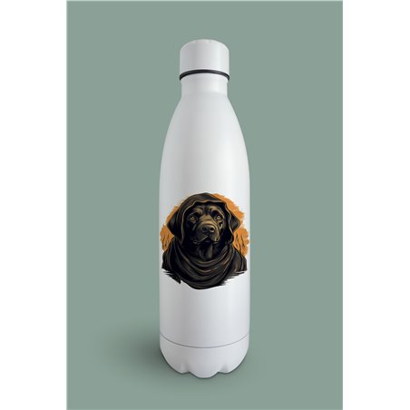 Insulated Bottle  - la 34