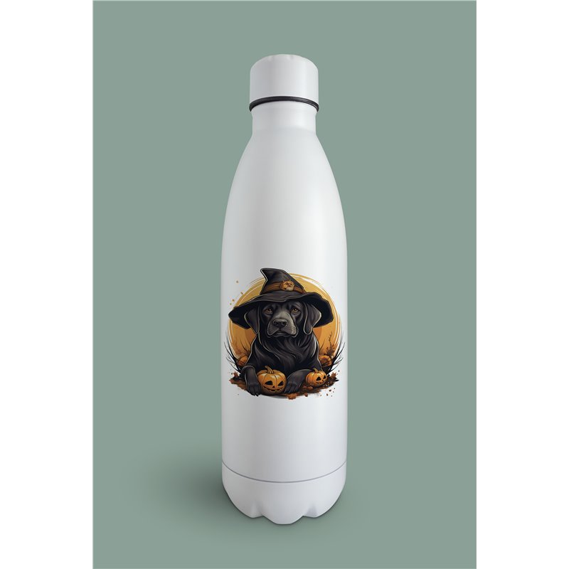 Insulated Bottle  - la 35