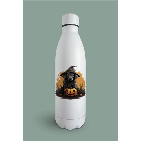 Insulated Bottle  - la 36