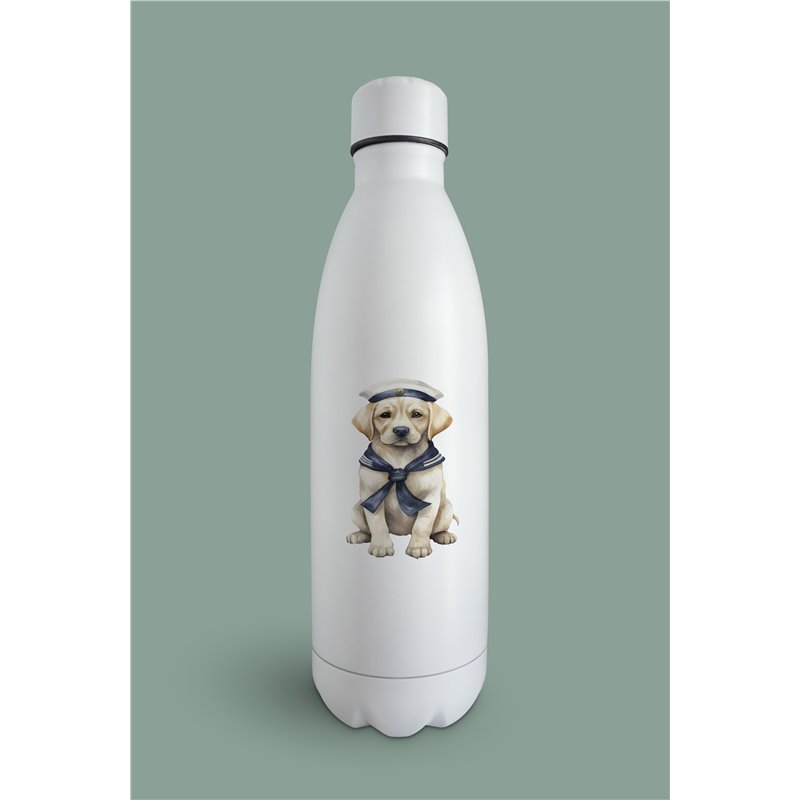 Insulated Bottle  - la 39