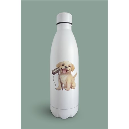 Insulated Bottle  - la 41