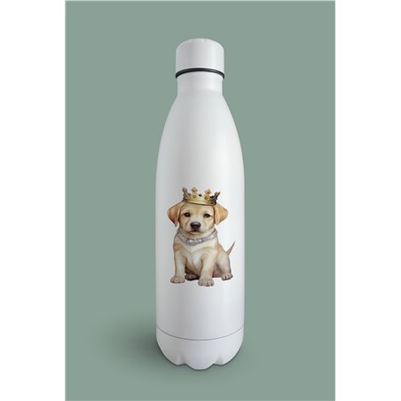 Insulated Bottle  - la 42