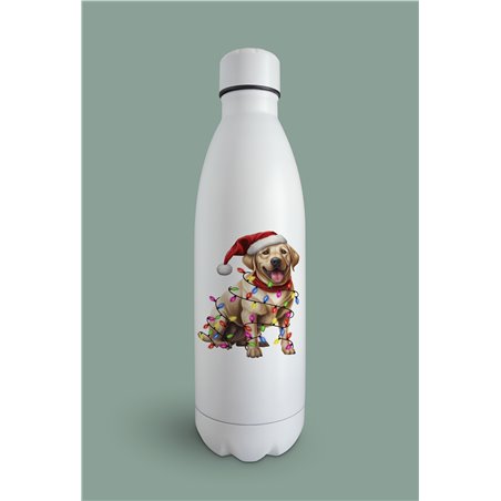 Insulated Bottle  - la 45