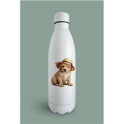 Insulated Bottle  - la 49