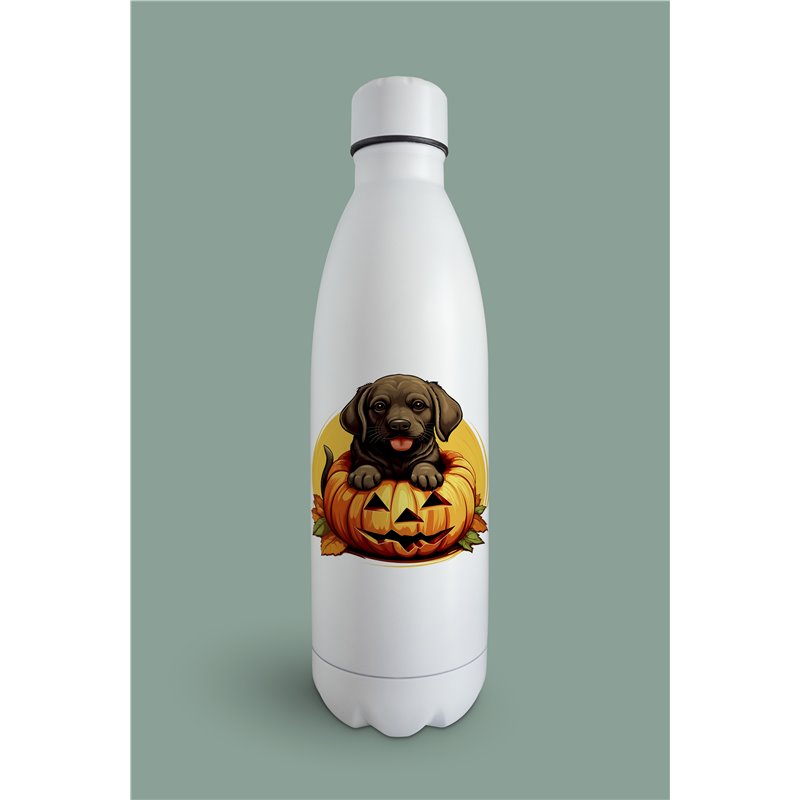 Insulated Bottle  - la 50