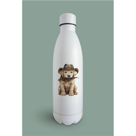 Insulated Bottle  - la 53