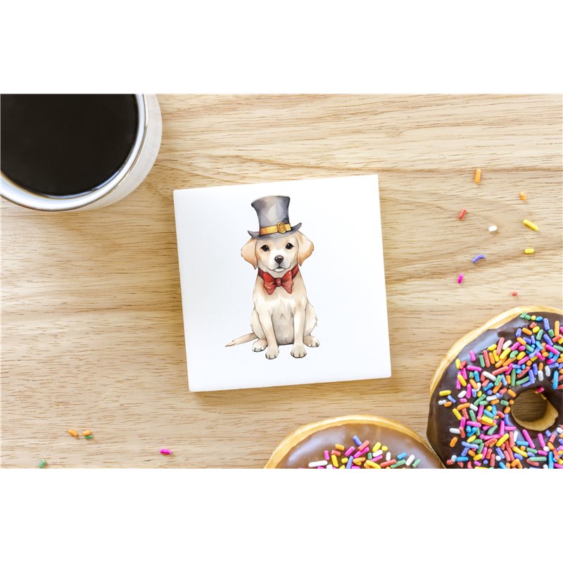 Ceramic Tile Coaster/ Trivet - la 4