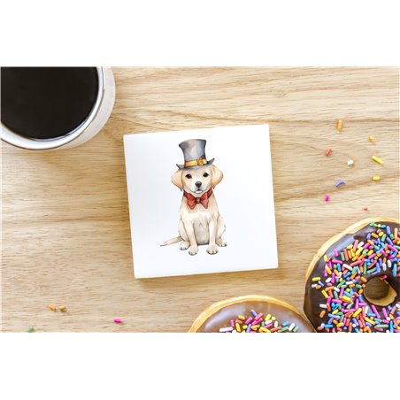 Ceramic Tile Coaster/ Trivet - la 4