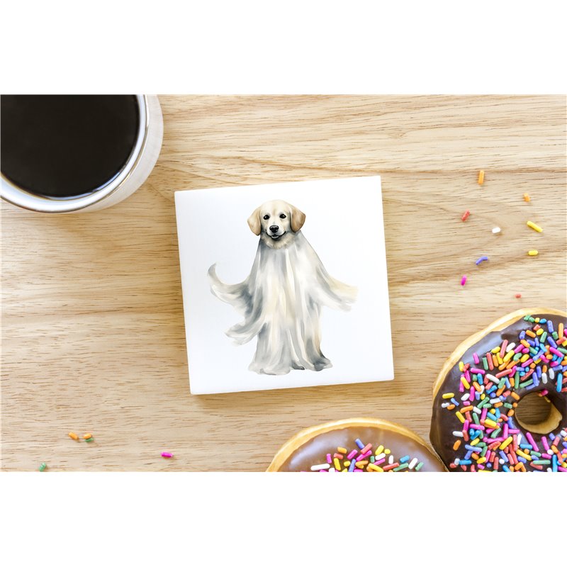 Ceramic Tile Coaster/ Trivet - la 26